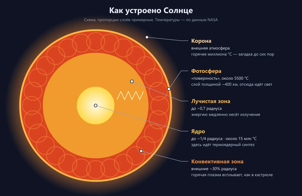 Схема строения Солнца: ядро, лучистая зона, конвективная зона, фотосфера и корона с температурами